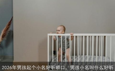 2026年男孩起个小名好听顺口，男孩小名叫什么好听