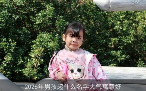 2026年男孩起什么名字大气寓意好