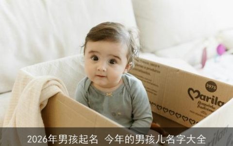 2026年男孩起名 今年的男孩儿名字大全