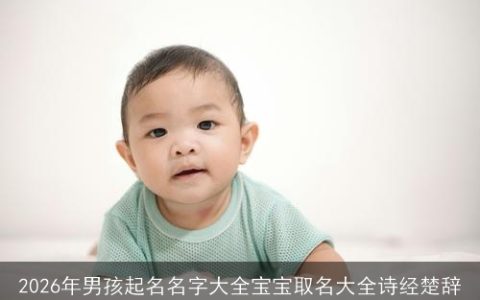 2026年男孩起名名字大全宝宝取名大全诗经楚辞