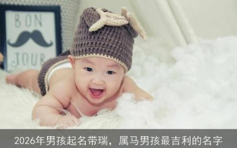 2026年男孩起名带瑞，属马男孩最吉利的名字