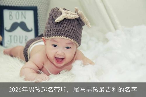 2026年男孩起名带瑞，属马男孩最吉利的名字