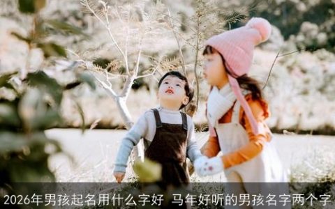 2026年男孩起名用什么字好 马年好听的男孩名字两个字