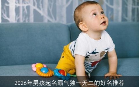 2026年男孩起名霸气独一无二的好名推荐