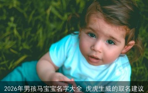 2026年男孩马宝宝名字大全 虎虎生威的取名建议