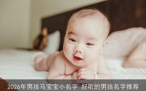 2026年男孩马宝宝小名字 好听的男孩名字推荐