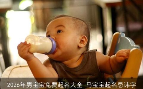 2026年男宝宝免费起名大全 马宝宝起名忌讳字