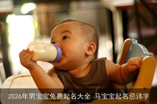 2026年男宝宝免费起名大全 马宝宝起名忌讳字