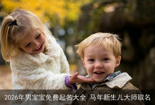 2026年男宝宝免费起名大全 马年新生儿大师取名