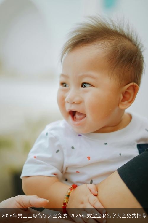 2026年男宝宝取名字大全免费 2026年男宝宝取名字大全免费推荐