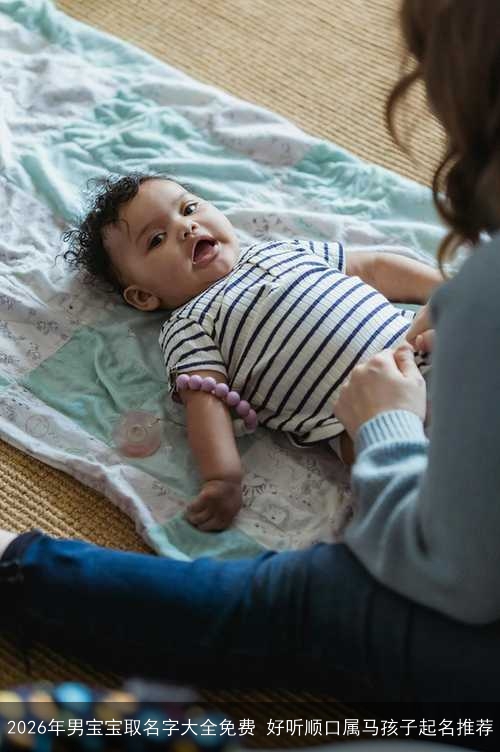 2026年男宝宝取名字大全免费 好听顺口属马孩子起名推荐