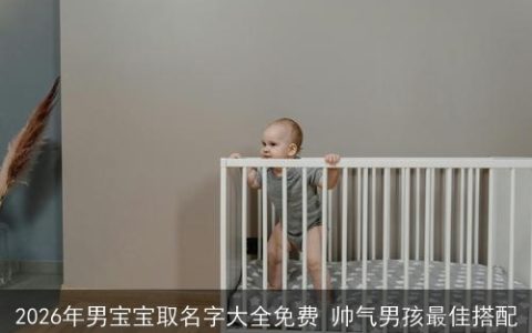 2026年男宝宝取名字大全免费 帅气男孩最佳搭配
