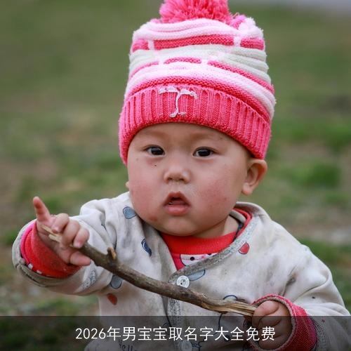 2026年男宝宝取名字大全免费