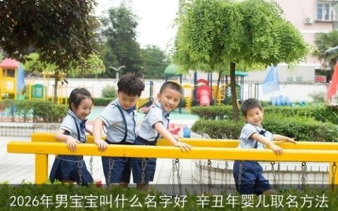 2026年男宝宝叫什么名字好 辛丑年婴儿取名方法