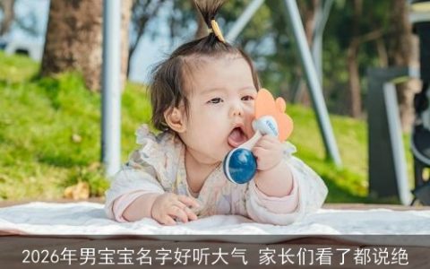 2026年男宝宝名字好听大气 家长们看了都说绝