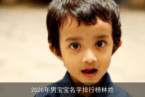 2026年男宝宝名字排行榜林姓