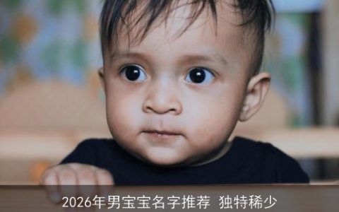 2026年男宝宝名字推荐 独特稀少