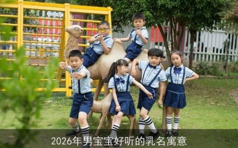2026年男宝宝好听的乳名寓意