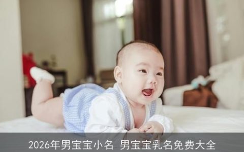 2026年男宝宝小名 男宝宝乳名免费大全