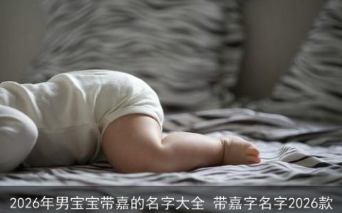 2026年男宝宝带嘉的名字大全 带嘉字名字2026款
