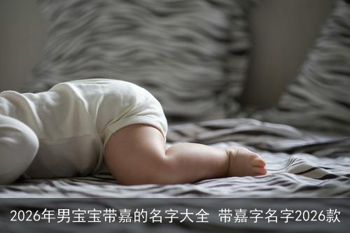2026年男宝宝带嘉的名字大全 带嘉字名字2026款