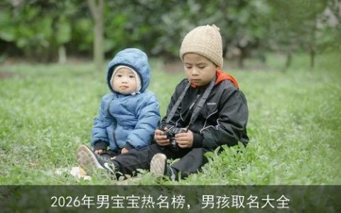 2026年男宝宝热名榜，男孩取名大全