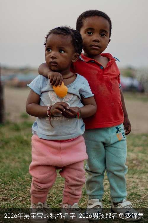 2026年男宝宝的独特名字 2026男孩取名免费锦集