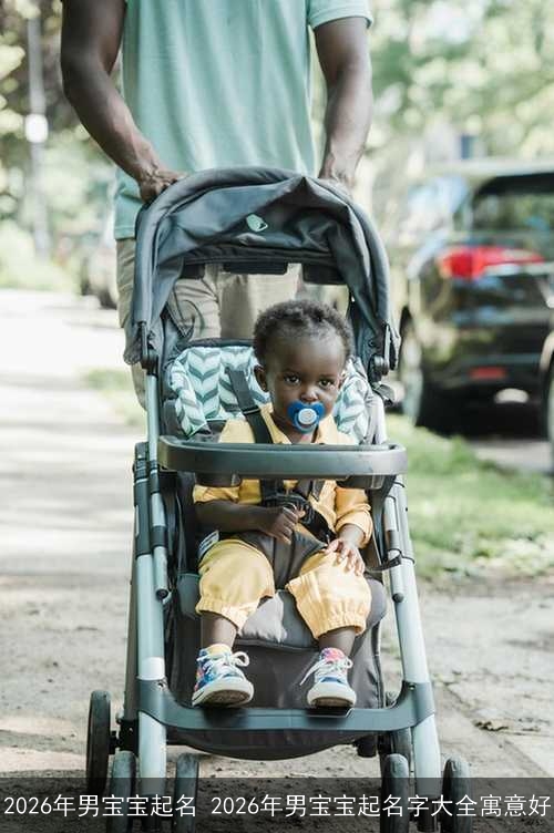 2026年男宝宝起名 2026年男宝宝起名字大全寓意好