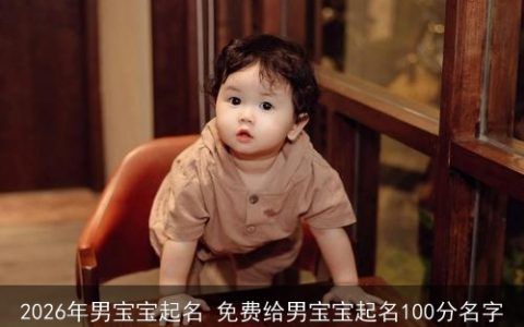 2026年男宝宝起名 免费给男宝宝起名100分名字