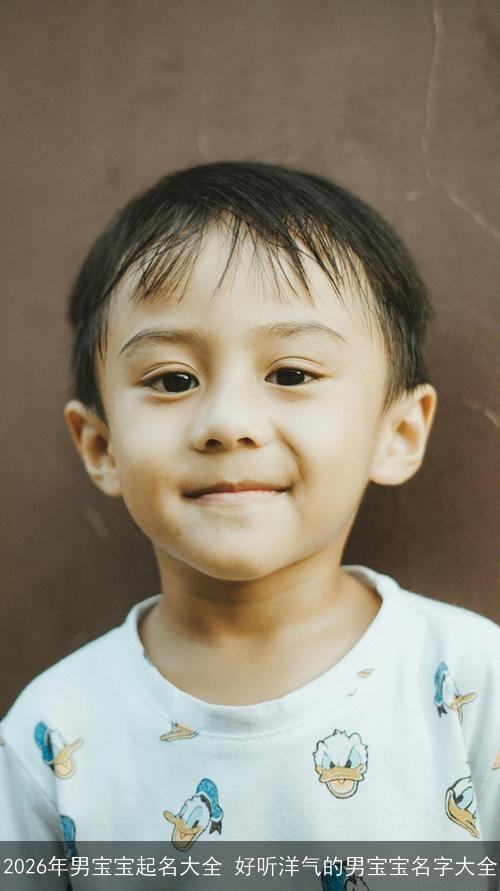 2026年男宝宝起名大全 好听洋气的男宝宝名字大全