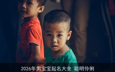 2026年男宝宝起名大全 聪明伶俐