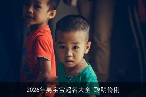 2026年男宝宝起名大全 聪明伶俐