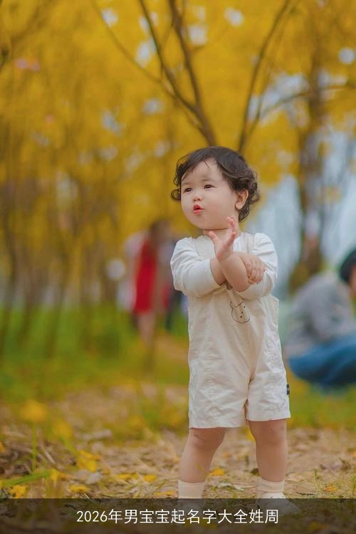 2026年男宝宝起名字大全姓周