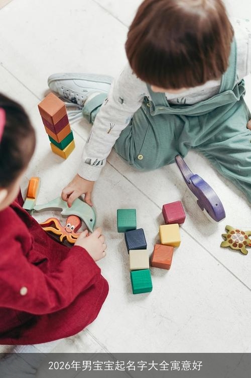 2026年男宝宝起名字大全寓意好