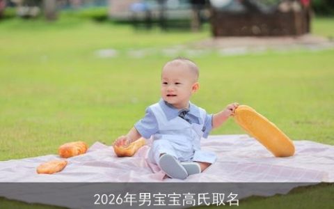 2026年男宝宝高氏取名