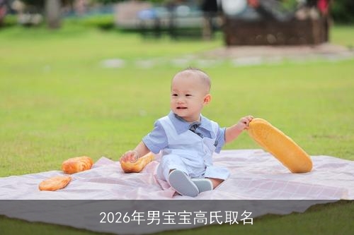2026年男宝宝高氏取名