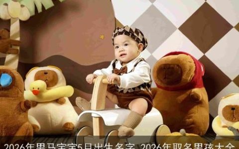 2026年男马宝宝5月出生名字 2026年取名男孩大全