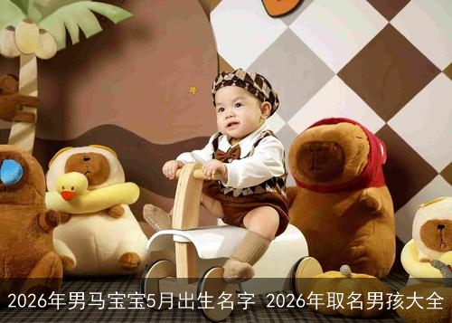 2026年男马宝宝5月出生名字 2026年取名男孩大全