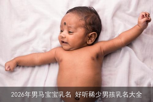 2026年男马宝宝乳名 好听稀少男孩乳名大全