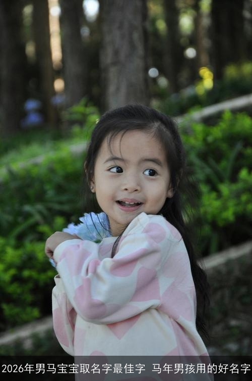 2026年男马宝宝取名字最佳字 马年男孩用的好名字
