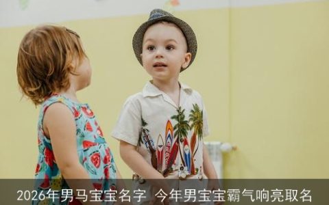 2026年男马宝宝名字 今年男宝宝霸气响亮取名