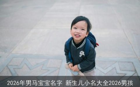 2026年男马宝宝名字 新生儿小名大全2026男孩