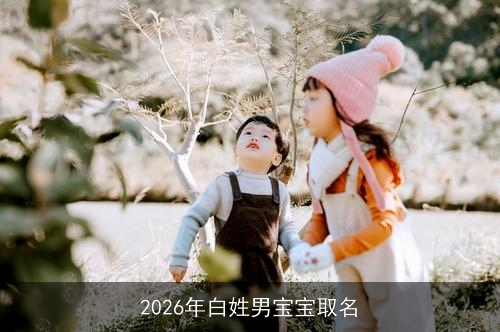 2026年白姓男宝宝取名