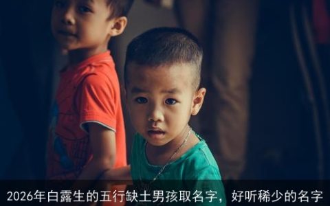 2026年白露生的五行缺土男孩取名字，好听稀少的名字