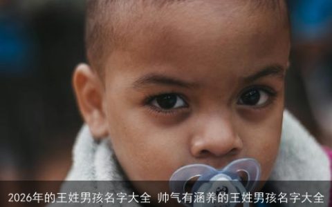 2026年的王姓男孩名字大全 帅气有涵养的王姓男孩名字大全