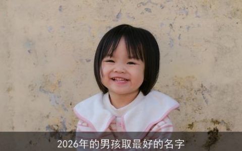 2026年的男孩取最好的名字