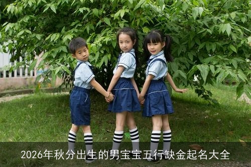 2026年秋分出生的男宝宝五行缺金起名大全
