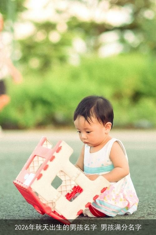2026年秋天出生的男孩名字 男孩满分名字