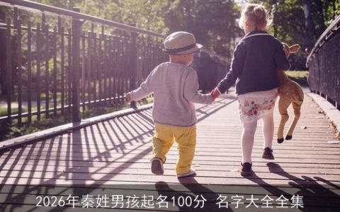 2026年秦姓男孩起名100分 名字大全全集