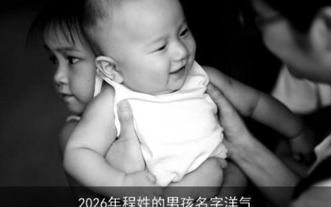 2026年程姓的男孩名字洋气